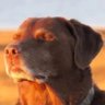 Profilbild von john