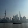 Pig Pig 的头像