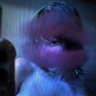 Profilbild von N