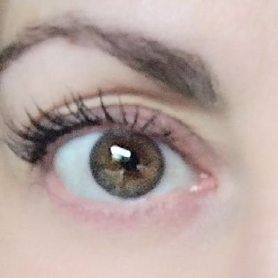regina_tello's profile picture