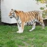 Alinka;)'s profile picture