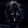 Фото профиля Tallone2