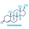 Profilbild von TESTOSTERON KURBANI