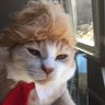 Shelly H profil fotoğrafı