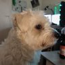 geht dich nichts an's profile picture