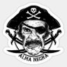 Фото профиля El Pirata🏴☠️ Alma Negra