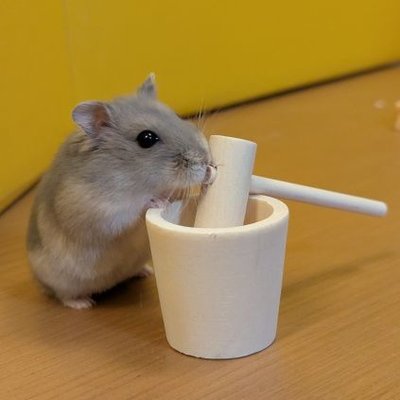kemari_no_ouchi's profile picture