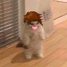 Believe888's profile picture