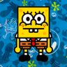 Spongerland 的头像