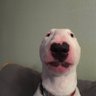 Jim's profile picture
