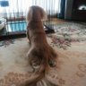 かっちゃん profil fotoğrafı