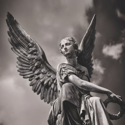 vizualprt's profile picture