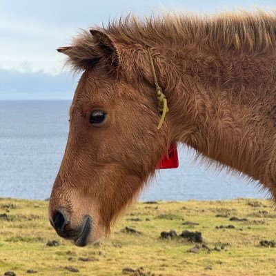 三蔵法師's profile picture