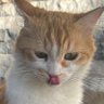 adam mediterranean profil fotoğrafı
