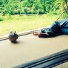 寝坊's profile picture