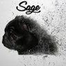 SagieSmalls's profile picture
