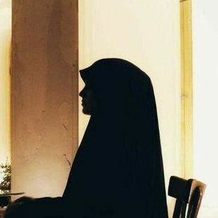 ویدا سادات's profile picture