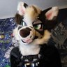 Profilbild von Abra