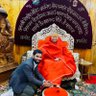 Profilbild von राजा गुर्जर हिंदुस्तानी 🇮🇳