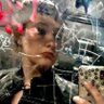 sarah's profile picture