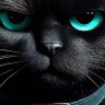 Фото профиля Mike .