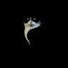 Lanc23's profile picture