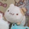 さくらまる🦔's profile picture
