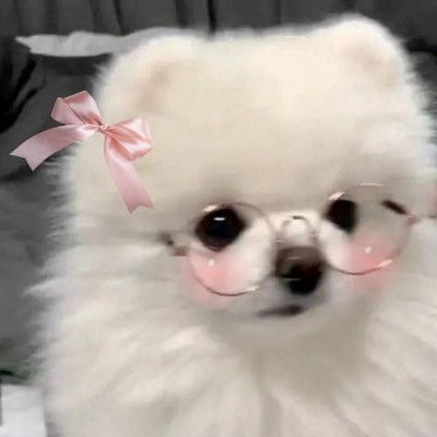 bubblyjellies ⸝⸝ 𐙚˚'s profile picture