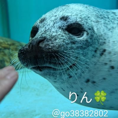 go38382802's profile picture