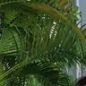 ada ada aja profil fotoğrafı