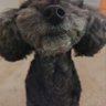 あっっこ's profile picture