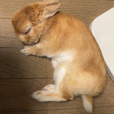 kei_kerino's profile picture