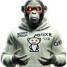 Фото профиля GXR