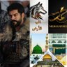 ذئب الأرض المنسي's profile picture