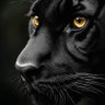 Profilbild von Kareb Alrasn