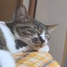 𝕄𝔸𝕄𝕀😜😜😜 profil fotoğrafı