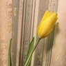 Фото профиля でほめ