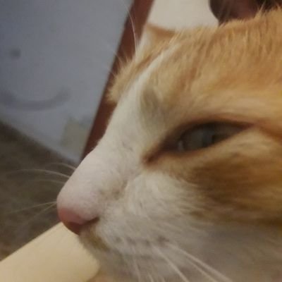 any-low-be's profile picture