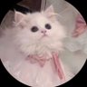 おもち's profile picture
