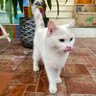 ET profil fotoğrafı