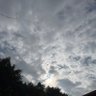 Steppenw0lf profil fotoğrafı