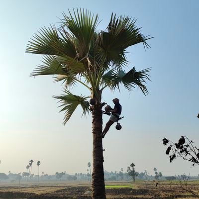 KarthiK SRH's profile picture