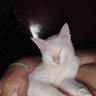 camiliza profil fotoğrafı