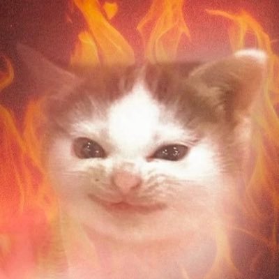 Bridgey's profile picture