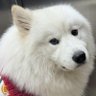 Profilbild von Eason毅