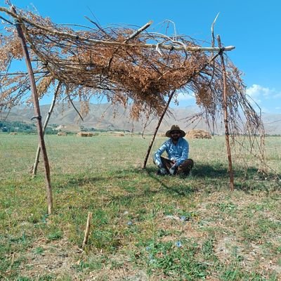 Ehmed Berojî's profile picture