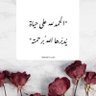 Profilbild von Dina Mohamed