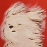 Profilbild von WindyPuppy