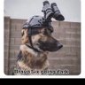 Patriots Needed profil fotoğrafı