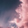 🌴✨ profil fotoğrafı